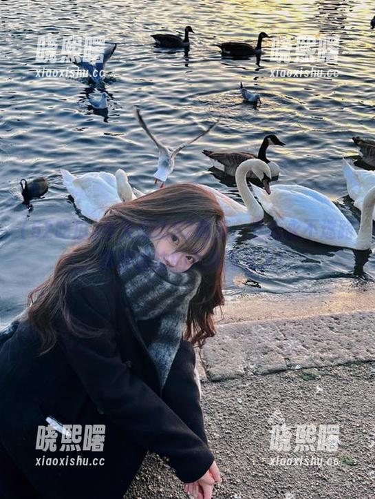 今天造访52吃瓜，立志永不迷路，即便路边的八卦再诱人！