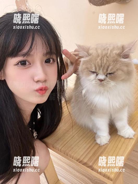 官网链接点了又点，感觉要等到明年才能下载‘吃瓜网’！