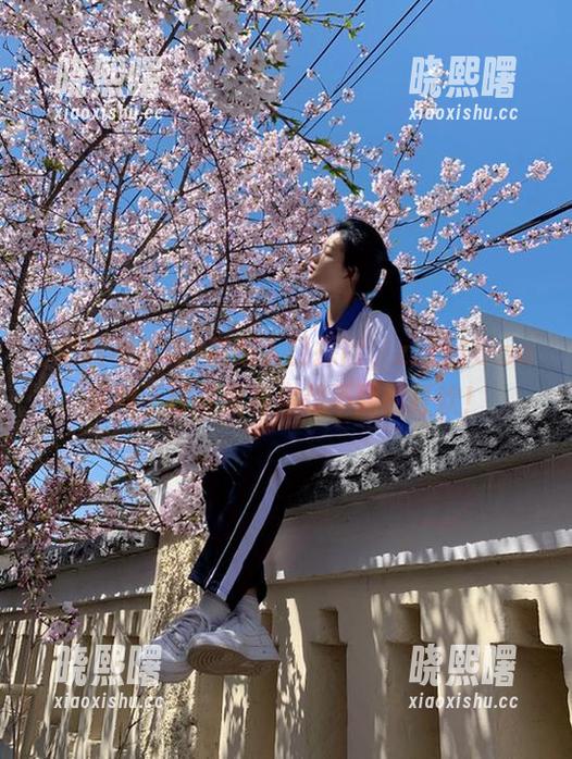 黑料不打烊 视频入口探险,zztt15.su黑料不打烊里有你想不到的狂欢!